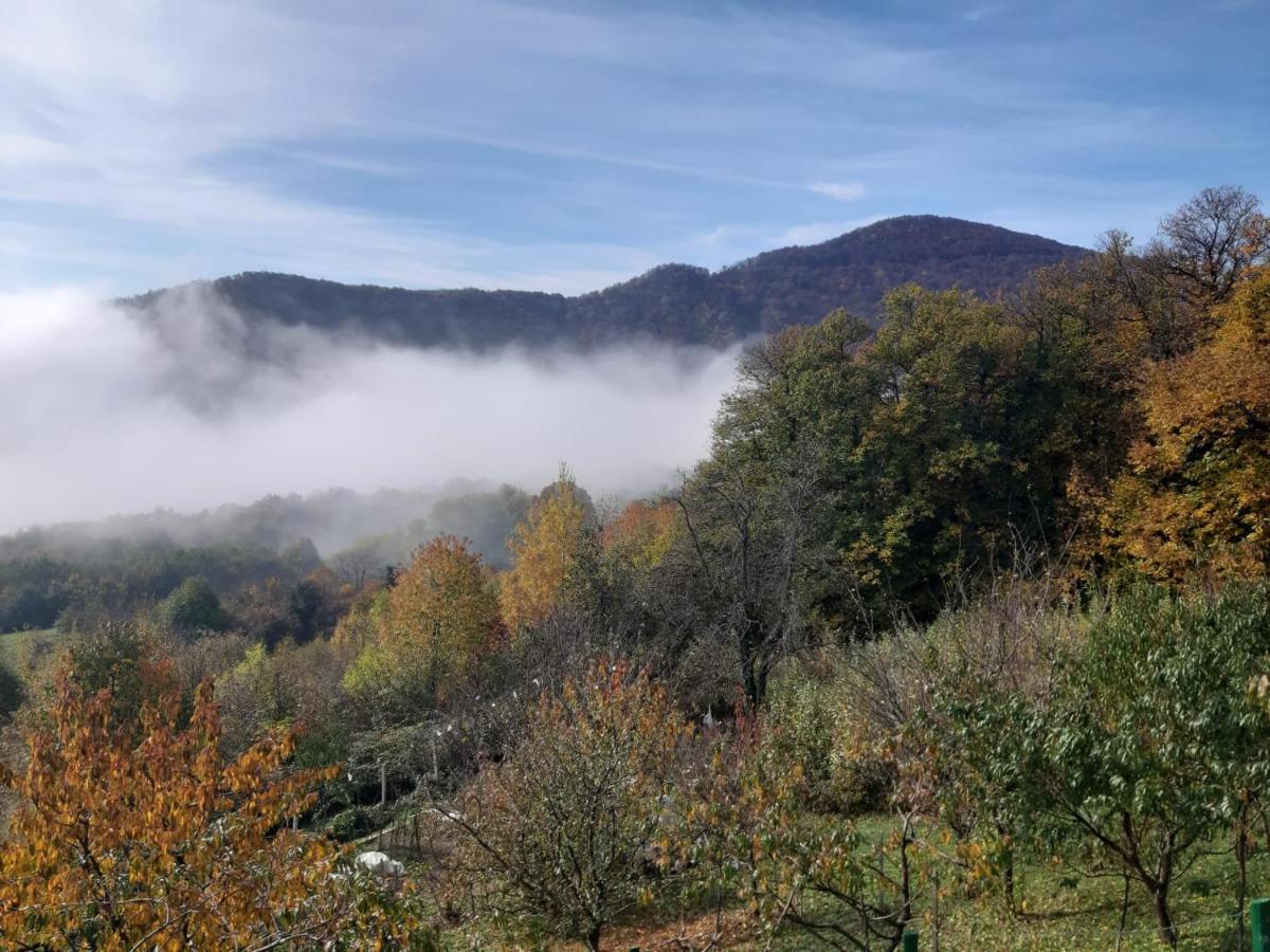 Kuca Za Odmor Poljanica Okicka Jastrebarsko Exterior foto