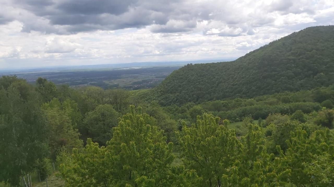 Kuca Za Odmor Poljanica Okicka Jastrebarsko Exterior foto