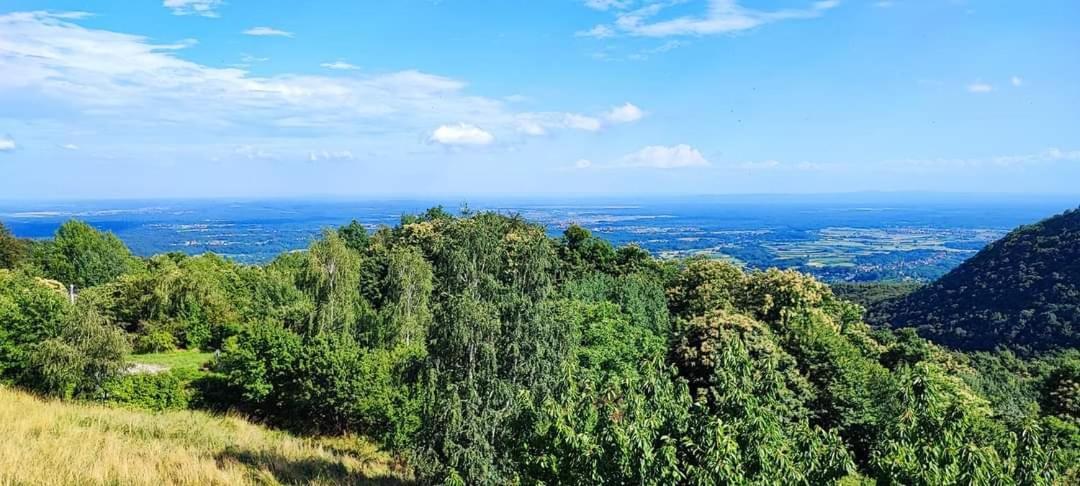 Kuca Za Odmor Poljanica Okicka Jastrebarsko Exterior foto