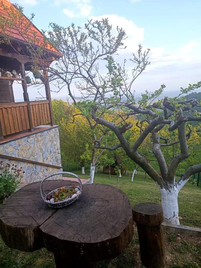 Kuca Za Odmor Poljanica Okicka Jastrebarsko Exterior foto